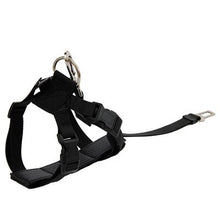 Load image into Gallery viewer, Dog Car Safety Belt Sets