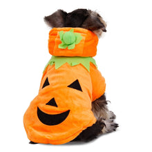 Load image into Gallery viewer, Pumpkin Sweater