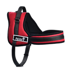 Load image into Gallery viewer, Dog Harness