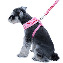 Load image into Gallery viewer, 3pcs/lot Pet Collar and Leash Set  Leopard