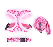 Load image into Gallery viewer, 3pcs/lot Pet Collar and Leash Set  Leopard