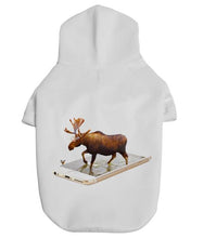 Load image into Gallery viewer, Casual Hoodies with  3D Print