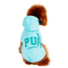 Load image into Gallery viewer, Warm Pet Hoodie