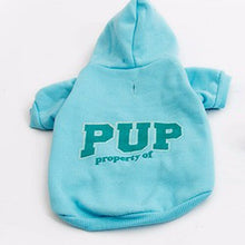 Load image into Gallery viewer, Warm Pet Hoodie