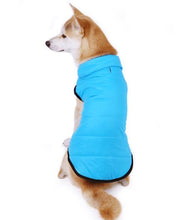 Load image into Gallery viewer, Warm Jacket For Small Dogs