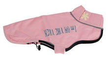 Load image into Gallery viewer, Winter Dog Clothes